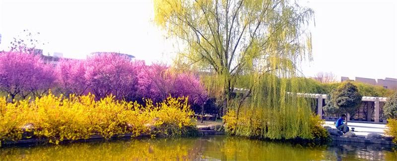 西北農林科技大學校園 西北農林科技大學校園